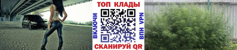 Купить закладку Конопля СОЛЬ ГАШИШ Меф Мурино
