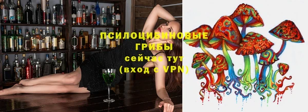 ALPHA PVP Заводоуковск