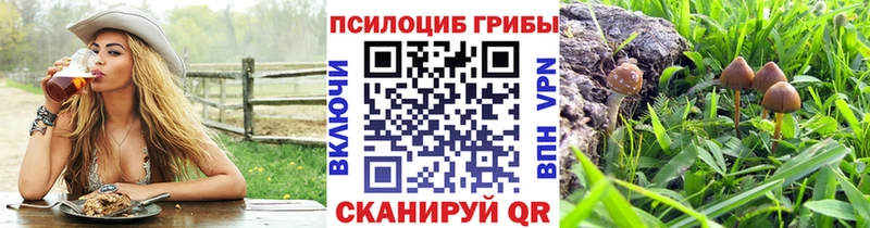 Псилоцибиновые грибы мицелий  Купить  Мурино 