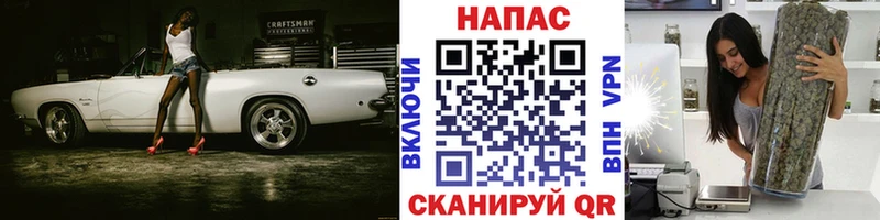 Купить  Мурино  Каннабис планчик 